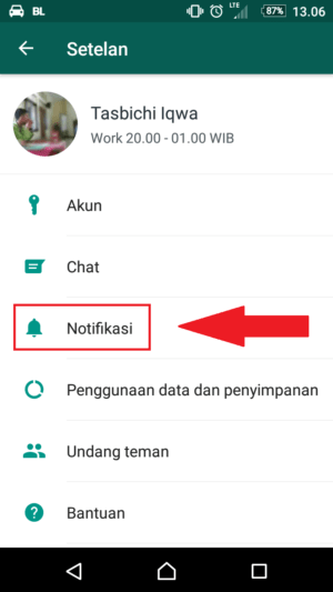 Apa itu notifikasi pop-up di Whatsapp? 9