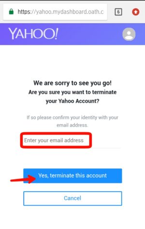 Cara menutup atau menghapus Permanen akun Yahoo kamu 6 Gambar 4. Ketik alamat email Yahoo, lalu ketuk Yes, terminate this account