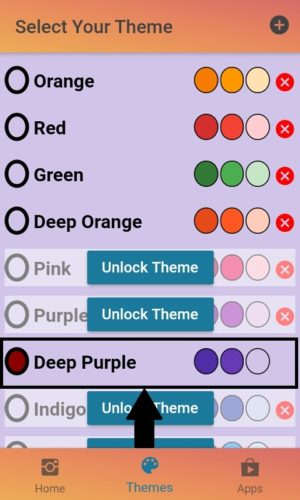 "Unlock theme" untuk membuka kunci tema sebelum digunakan