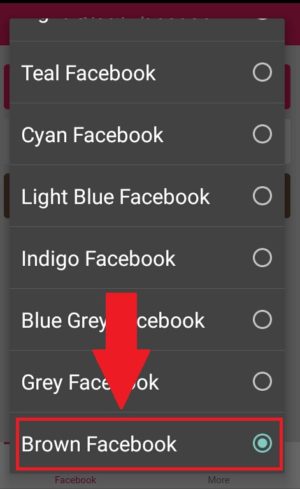 Cara mengganti warna tema Facebook Lite 9 Berbagai macam pilihan warna tema untuk diterapkan