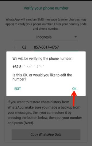Cara Menghilangkan Centang 2 di WhatsApp (selalu Centang 1) 5 Konfirmasi nomor
