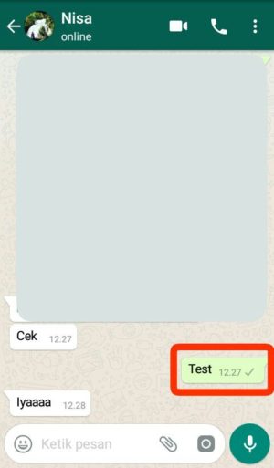 Contoh chat di whatsapp penerima, conroh ceklis 1 di kotak merah