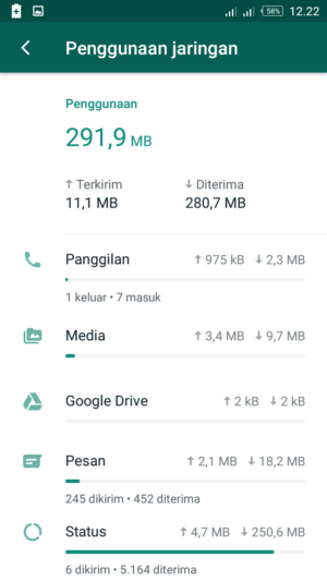 Gambar 4. Penggunaan jaringan