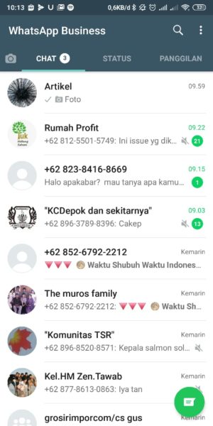 Warna latar Whatsapp Bisnis