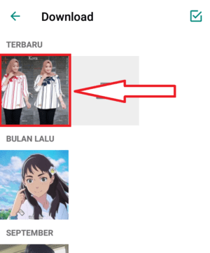 Cara membuat Katalog di WhatsApp Bisnis 16 Cara membuat Katalog di WhatsApp Bisnis 15
