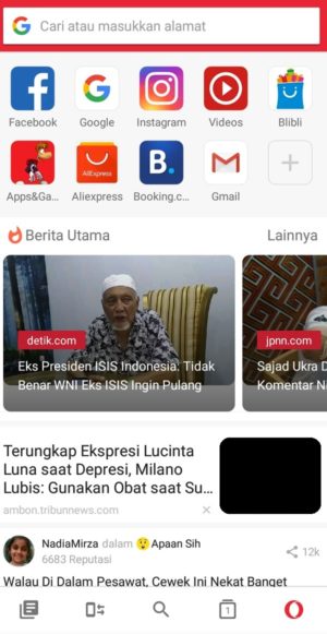 Antarmuka Opera Browser