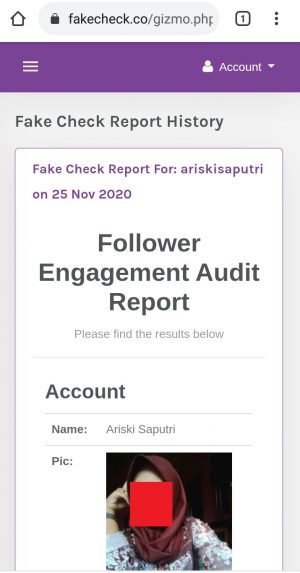 Tampilan halaman hasil audit Instagram