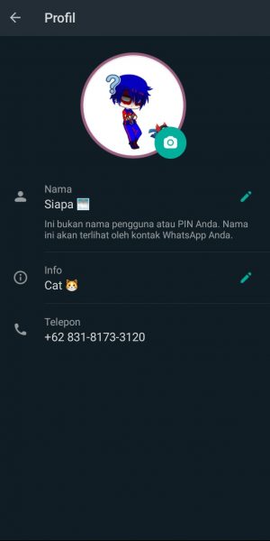 Cara menambahkan frame (bingkai) ke foto profil WhatsApp 21 hasil setelah jadi DP whatsapp