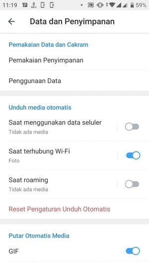 Cara menonaktifkan download otomatis di Telegram 10