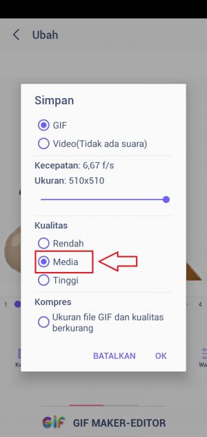 pilih kualitas gif ke media