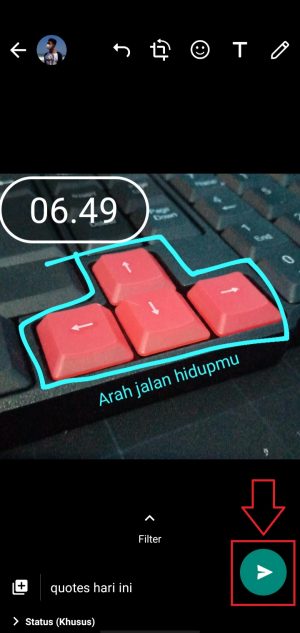 Cara membuat status foto atau video di WhatsApp (untuk pemula) 22 ketuk tombol mengirim untuk membuat status