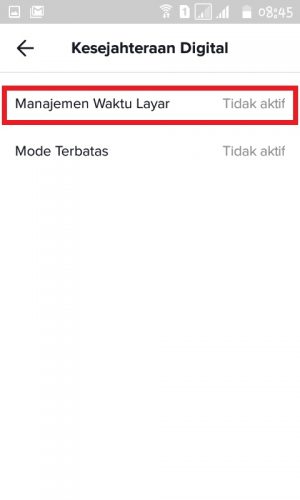Cara Membatasi Konten Tiktok untuk Anak 5 Tap "Manajemen Waktu Layar".