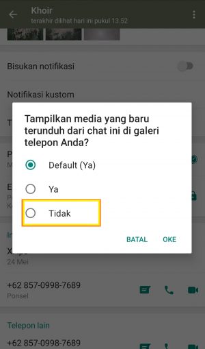 Cara agar media WhatsApp tidak tersimpan di galeri 9 klik tidak
