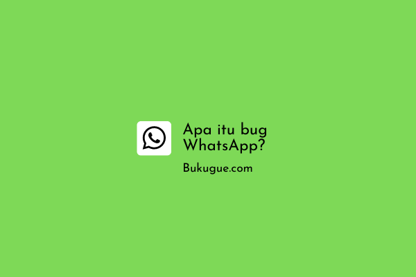Apa itu bug di WhatsApp?