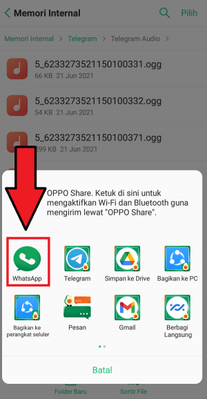 Pilih Whatsapp untuk mengirim ke Whatsapp