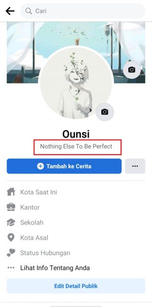 Cara Membuat atau Mengedit Bio di Facebook 6 tampilan bio di profil facebook kita