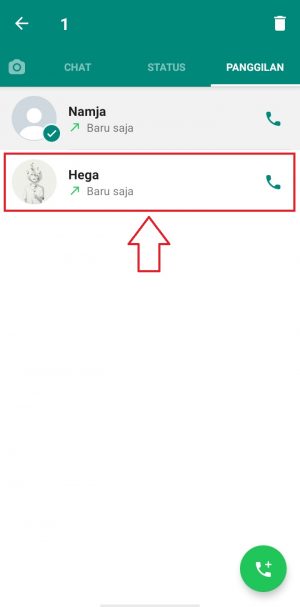 pilih riwayat lain yang ingin dihapus