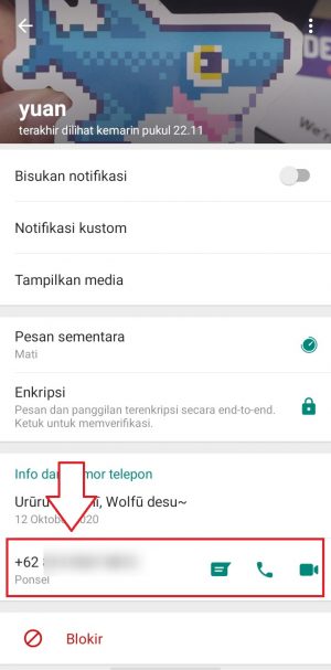 Cara mengirim nomor kontak di WhatsApp 13 screenshot info kontak, pastikan nomor telepon terlihat di layar