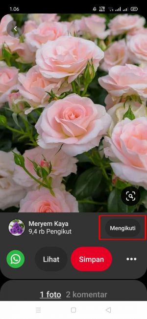 Cara Menggunakan Pinterest Untuk Pemula 24 klik dan pilih "mengikuti"