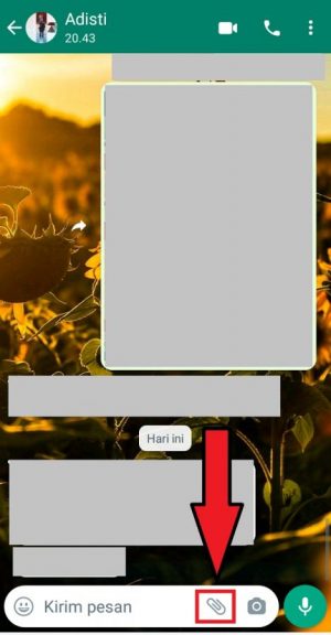 Cara Mengirim Foto atau Video Sekali Lihat di WhatsApp 1