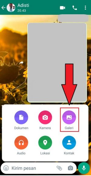 Cara Mengirim Foto atau Video Sekali Lihat di WhatsApp 3