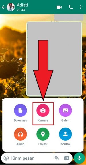 Cara Mengirim Foto atau Video Sekali Lihat di WhatsApp 13