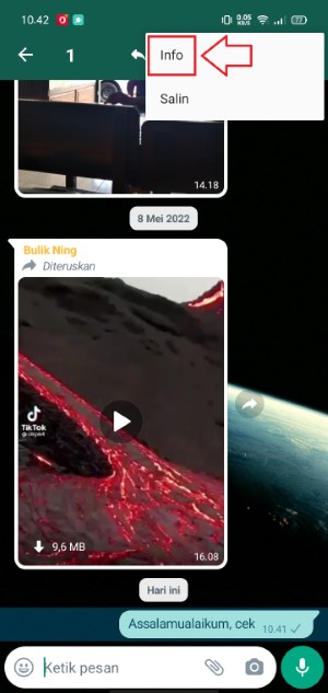 Cara Mengetahui Anggota Grup WhatsApp yang Online 5 pilih opsi info
