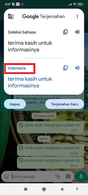 Tap “Indonesia”.