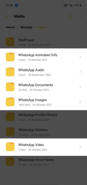 jenis file yang bisa disimpan di folder private whatsapp