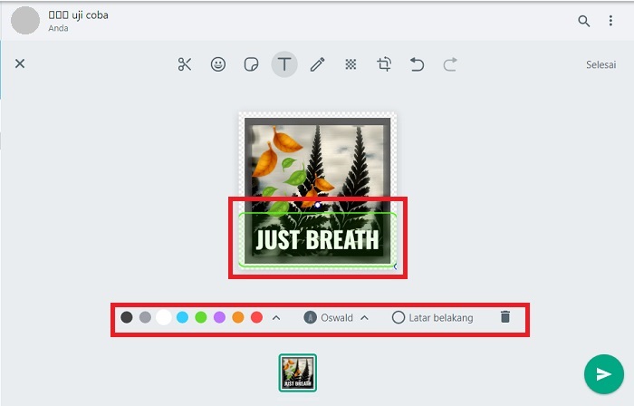 Cara membuat stiker WhatsApp di PC tanpa aplikasi 9 Edit Teks sesuai keinginan
