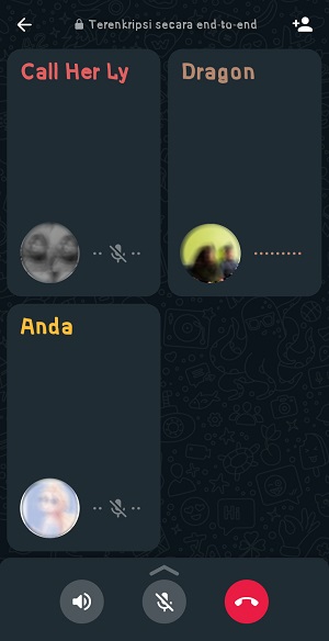 Apa itu "Buat Tautan Panggilan" di WhatsApp? (Penjelasan lengkap) 11 Tampilan panggilan telepon ketika semua kontak sudah bergabung
