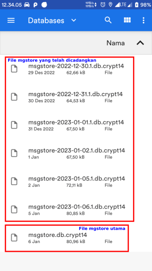 File mgstore memiliki dua tipe, yaitu: file mgstore utama dan file mgstore yang telah dicadangkan.