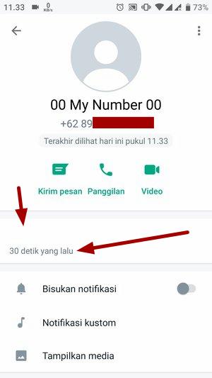 2 Cara Menghilangkan Info di WhatsApp Tanpa Aplikasi (Simpel) 15