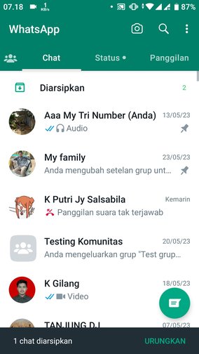 Apa itu arsip chat di WhatsApp dan kenapa kamu perlu arsipkan chatmu? 4 Apa itu arsip chat di WhatsApp dan kenapa kamu perlu arsipkan chatmu? 3