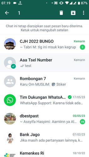 Cara membatalkan arsip dan menghilangkan menu 'Diarsipkan' di WhatsApp 7