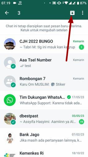 Cara membatalkan arsip dan menghilangkan menu 'Diarsipkan' di WhatsApp 9