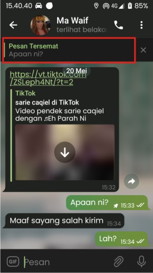 Cara Sematkan Pesan di Telegram (untuk Chat Personal, Grup, dan Channel) 4 Pesan yang tersematkan akan berada di bagian atas.