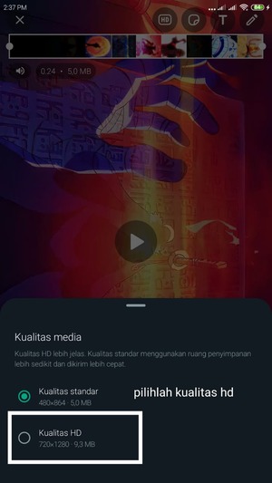 Cara agar Status WA tidak pecah dan buram (6x lebih baik) 6 kualitas vidio atau foto yang bisa kalian pilih