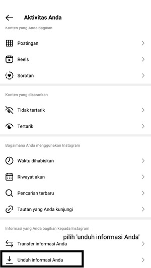 Cara Download Data Kita di Instagram Melalui fitur 'Unduh Informasi Anda' 4 tampilan menu aktivitas anda