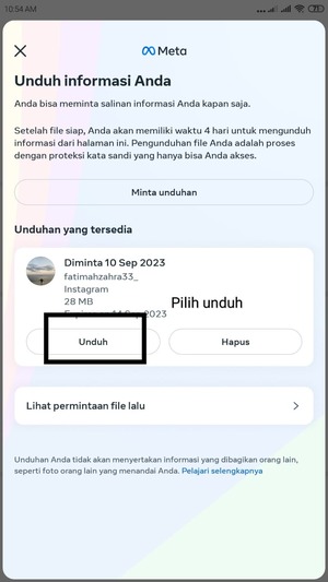 Cara Download Data Kita di Instagram Melalui fitur 'Unduh Informasi Anda' 11 unduhan yang telah tersedia